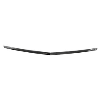 Replace® - Hood Moldings