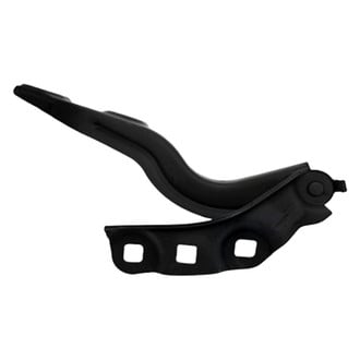 Replace® - Hood Hinges