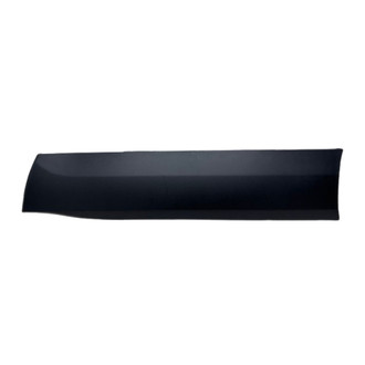 Replace® - Front Passenger Side Door Molding (Standard Line)