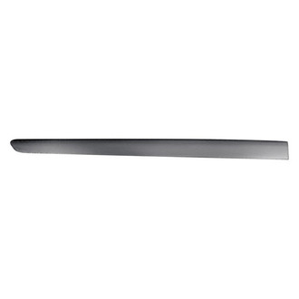 Replace® - Rear Passenger Side Door Molding (Standard Line)