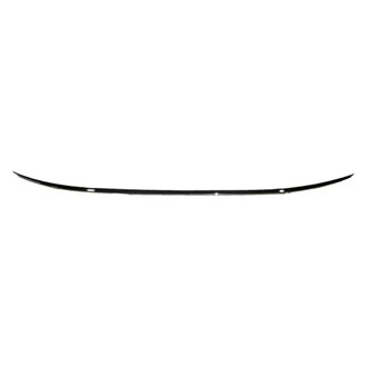Replace® - Rear Lower Bumper Molding (Standard Line)