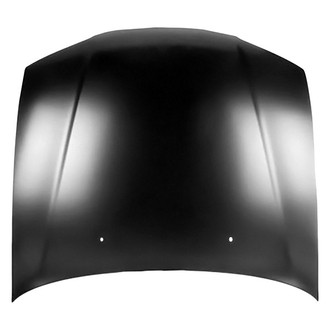Replace® - Hood Panel (Value Line)