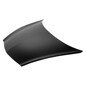 Replace® - Hood Panel (Platinum Plus)