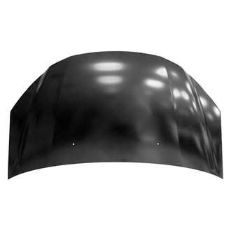 Replace® - Hood Panel (Platinum Plus)