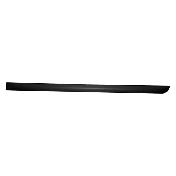 Replace® - Rear Driver Side Door Molding