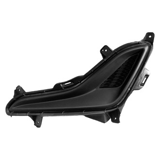 Replace® - Front Driver Side Fog Light Cover (Standard Line)