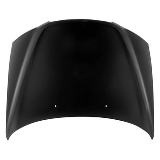 Replace® - Hood Panel (Value Line)