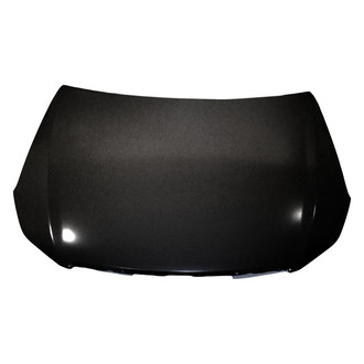 Replace® - Hood Panel (Brand New OE)