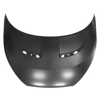 Replace® - Hood Panel (Standard Line)