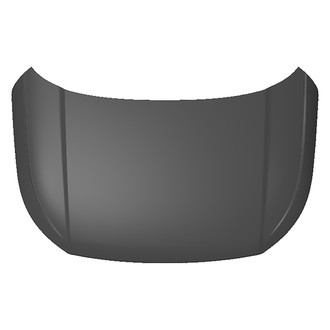Replace® - Hood Panel (CAPA Certified)