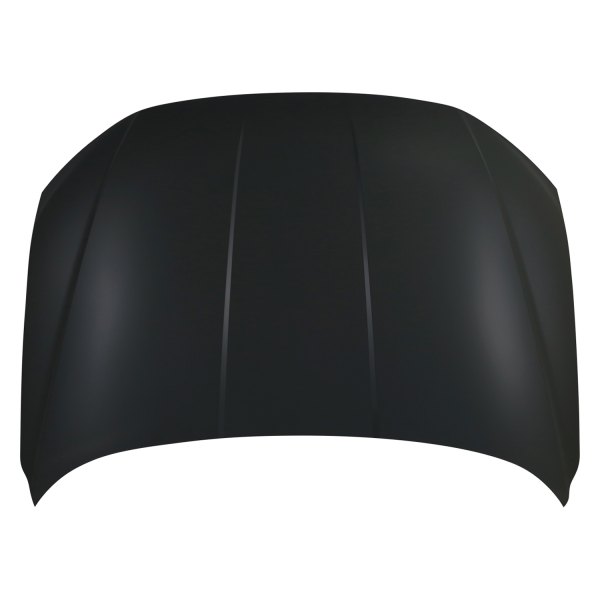 Replace® - Hood Panel