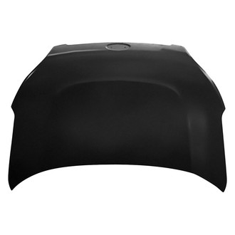 Replace® - Hood Panel (Platinum Plus)