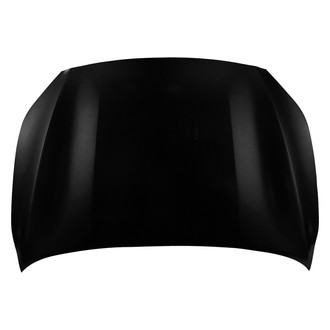 Replace® - Hood Panel (Platinum Plus)