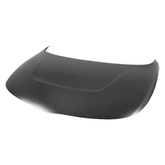 Replace® - Hood Panel (Standard Line)