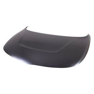 Replace® - Hood Panel (Standard Line)