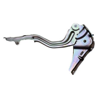 Replace® - Hood Hinges