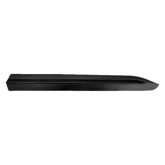 Replace® - Front Passenger Side Door Molding (Standard Line)