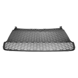 Replace® - Lower Grille (Standard Line)