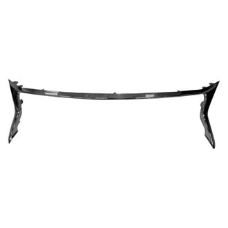 Replace® - Outer Grille Molding (CAPA Certified)