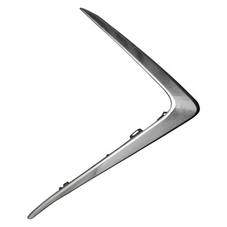 Replace® - Passenger Side Grille Molding (CAPA Certified)
