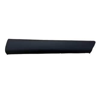 Replace® - Rear Passenger Side Door Molding (Standard Line)