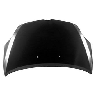 Replace® - Hood Panel (Platinum Plus)