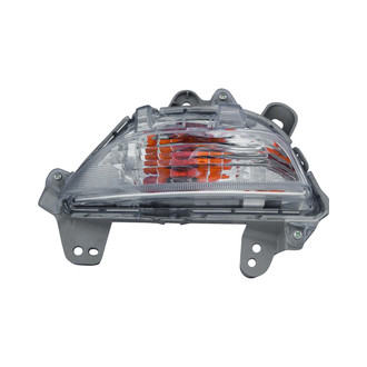Replace® - Driver Side Replacement Turn Signal/Parking Light (Value Line)