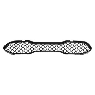 Replace® - Front Lower Bumper Grille (Standard Line)