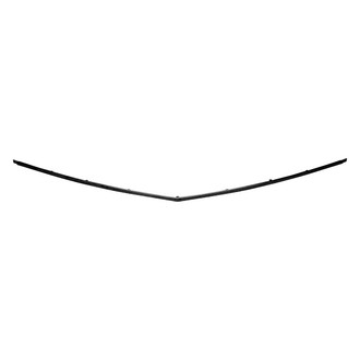 Replace® - Front Center Bumper Molding (Standard Line)