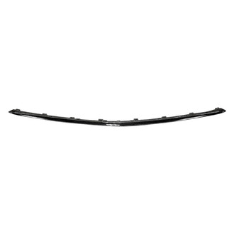 Replace® - Front Center Bumper Cover Molding (Standard Line)
