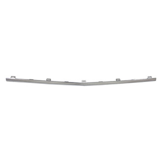 Replace® - Front Center Bumper Cover Molding (Standard Line)