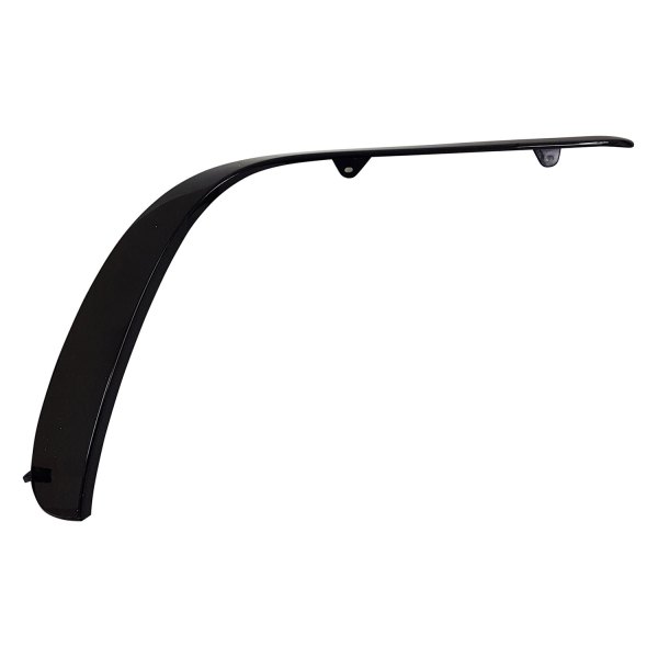 Replace® - Front Passenger Side Outer Bumper Cover Molding