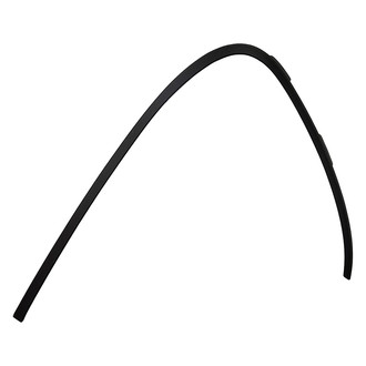 Replace® - Front Outer Passenger Side Bumper Molding (Standard Line)