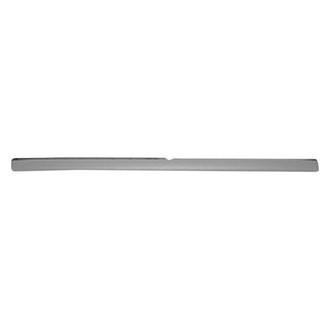 Replace® - Rear Bumper Impact Strip