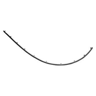 Replace® - Rear Passenger Side Bumper Cover Molding (Standard Line)