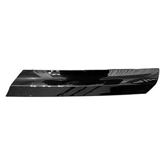 Replace® - Lower Passenger Side Grille Molding (Standard Line)
