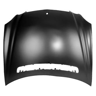 Replace® - Hood Panel (Value Line)