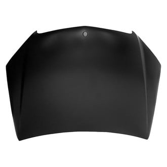 Replace® - Hood Panel (Platinum Plus)