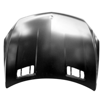 Replace® - Hood Panels