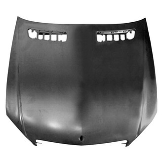 Replace® - Hood Panel (Standard Line)