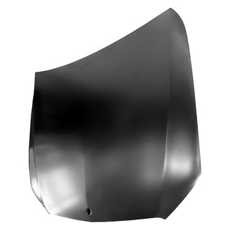 Replace® - Hood Panel (CAPA Certified)