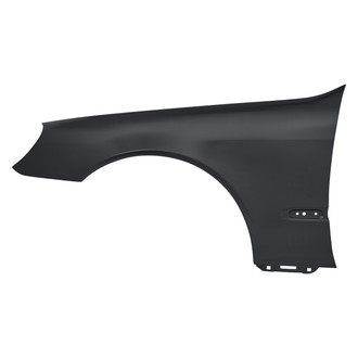 Replace® - Front Driver Side Fender (Standard Line)