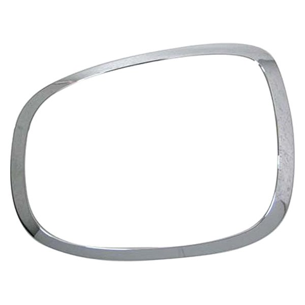 Replace® - Driver Side Tail Lamp Bezel