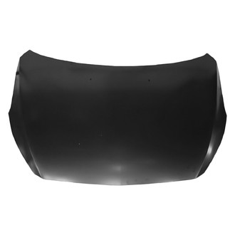 Replace® - Hood Panel (Standard Line)