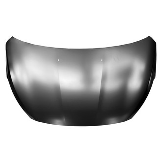Replace® - Hood Panel (Standard Line)