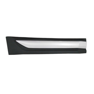 Replace® - Rear Passenger Side Door Molding (Standard Line)