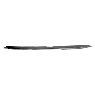 Replace® - Front Bumper Cover Molding (Brand New OE)