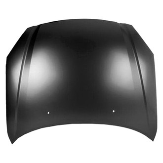 Replace® - Hood Panel (Standard Line)