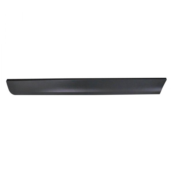 Replace® - Rear Passenger Side Lower Door Molding