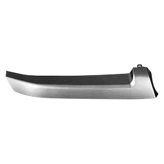 Replace® - Passenger Side Grille Molding (Standard Line)